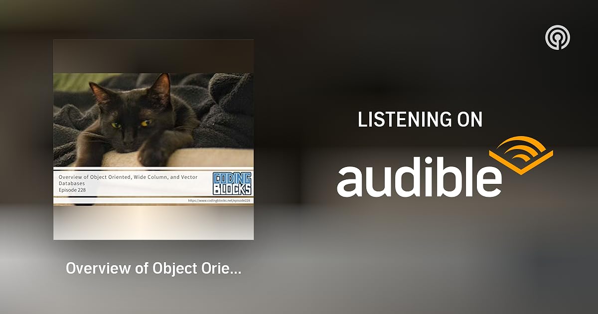 Overview of Object Oriented, Wide Column, and Vector Databases Coding